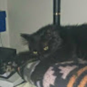 Meet your Posher, Kathia